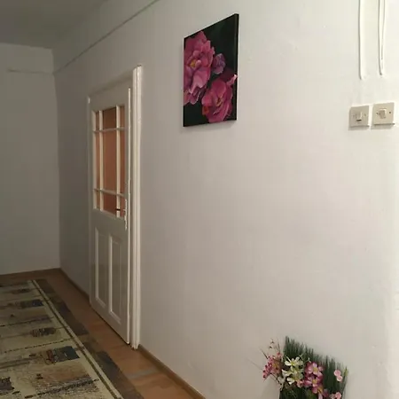 Appartamento House Centrul Istoric Ll Sibiu Esterno foto
